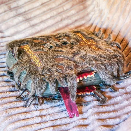 Magie 公寓 Banská Štiavnica